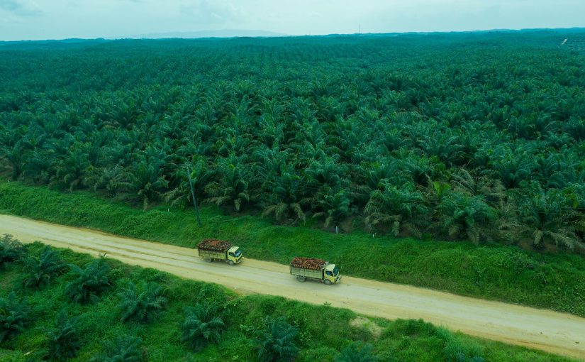 RAURD Web Asian Agri sebagai Pusat Analisis, Riset Terapan, dan Inovasi Berkelanjutan